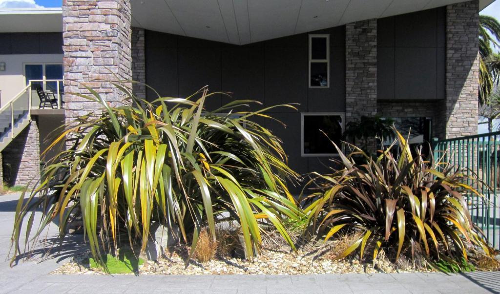 Stay 284 Rotorua - Refurbished Modern Accommodation Экстерьер фото